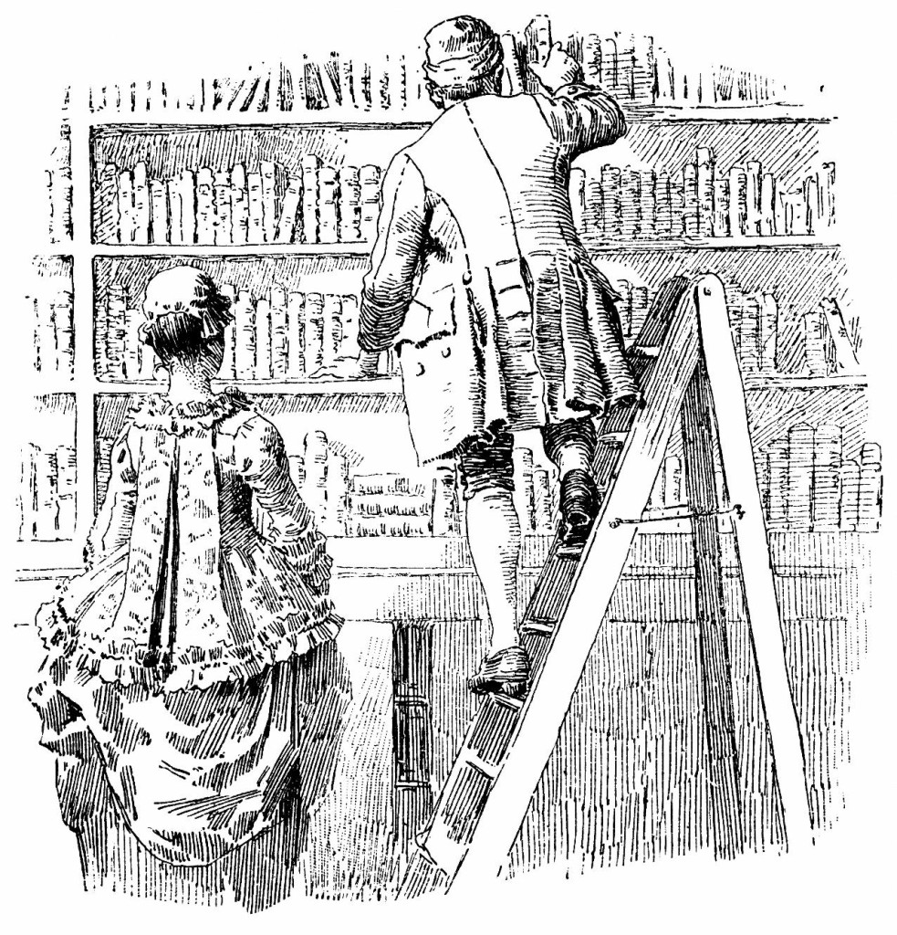 library-rules-digital-puritan-press