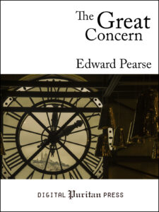 Book Cover: The Great Concern
